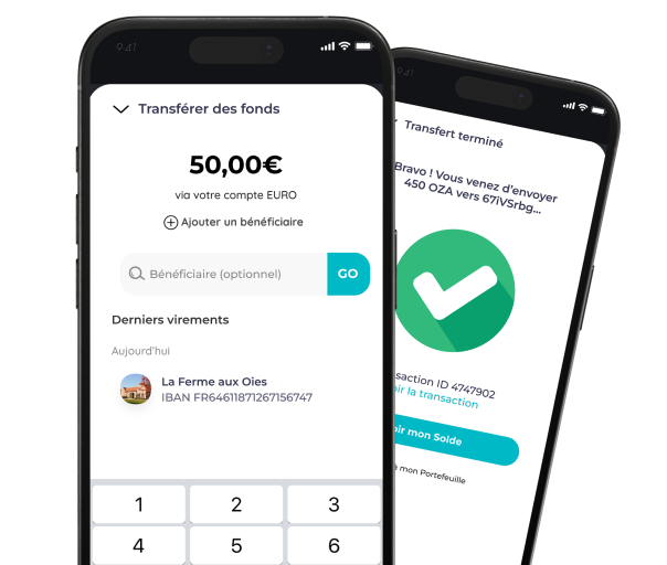 Ozapay payments and transfers banner